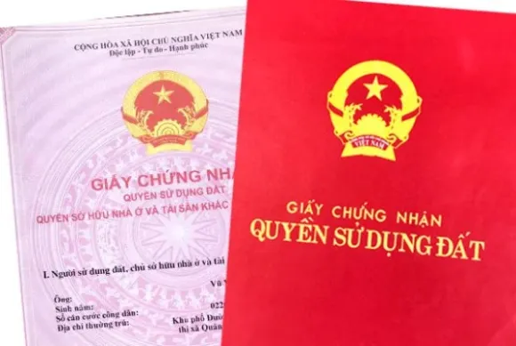 Tin tức